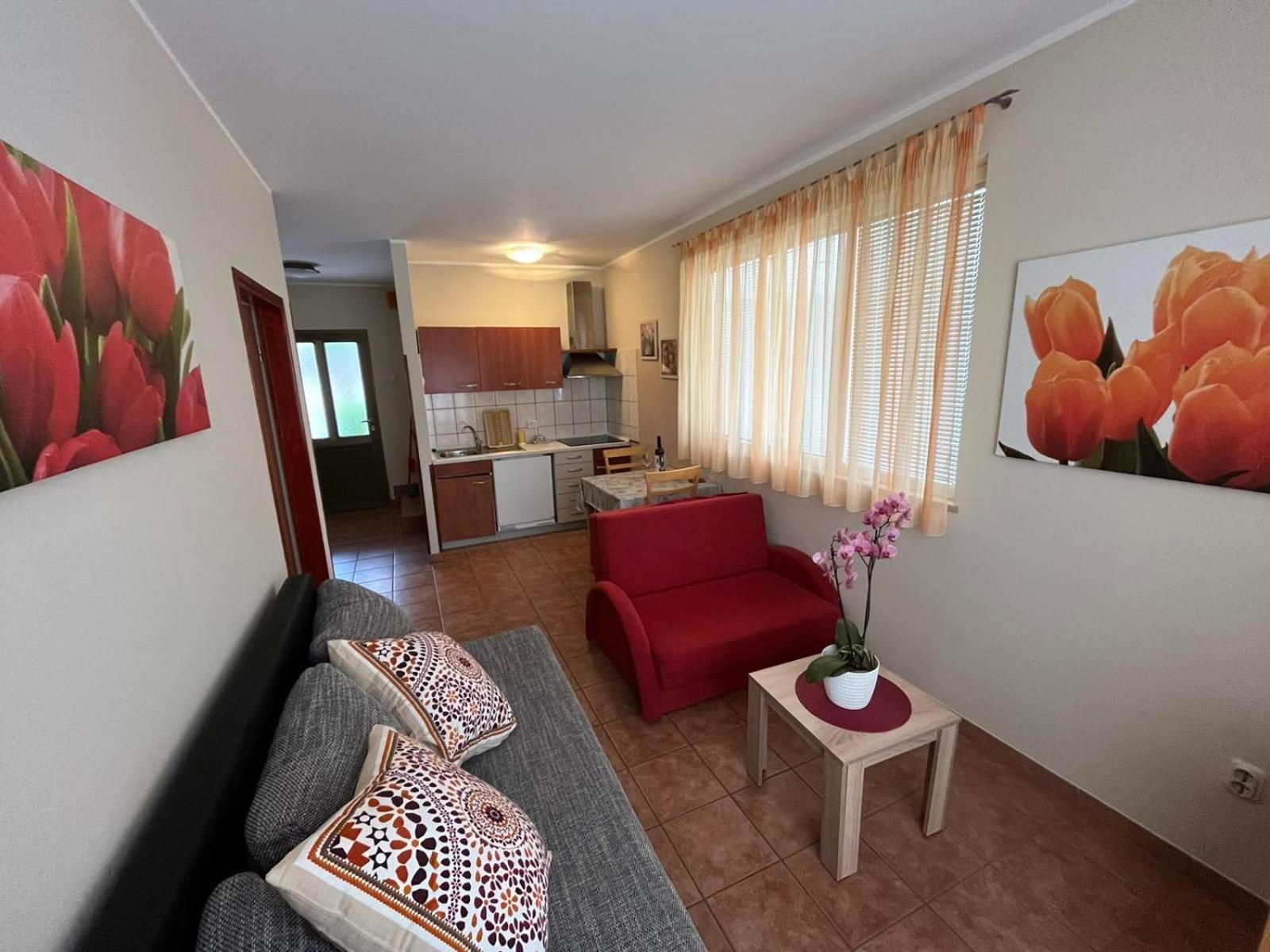 Family Apartments Suzi Rovinj Exteriér fotografie