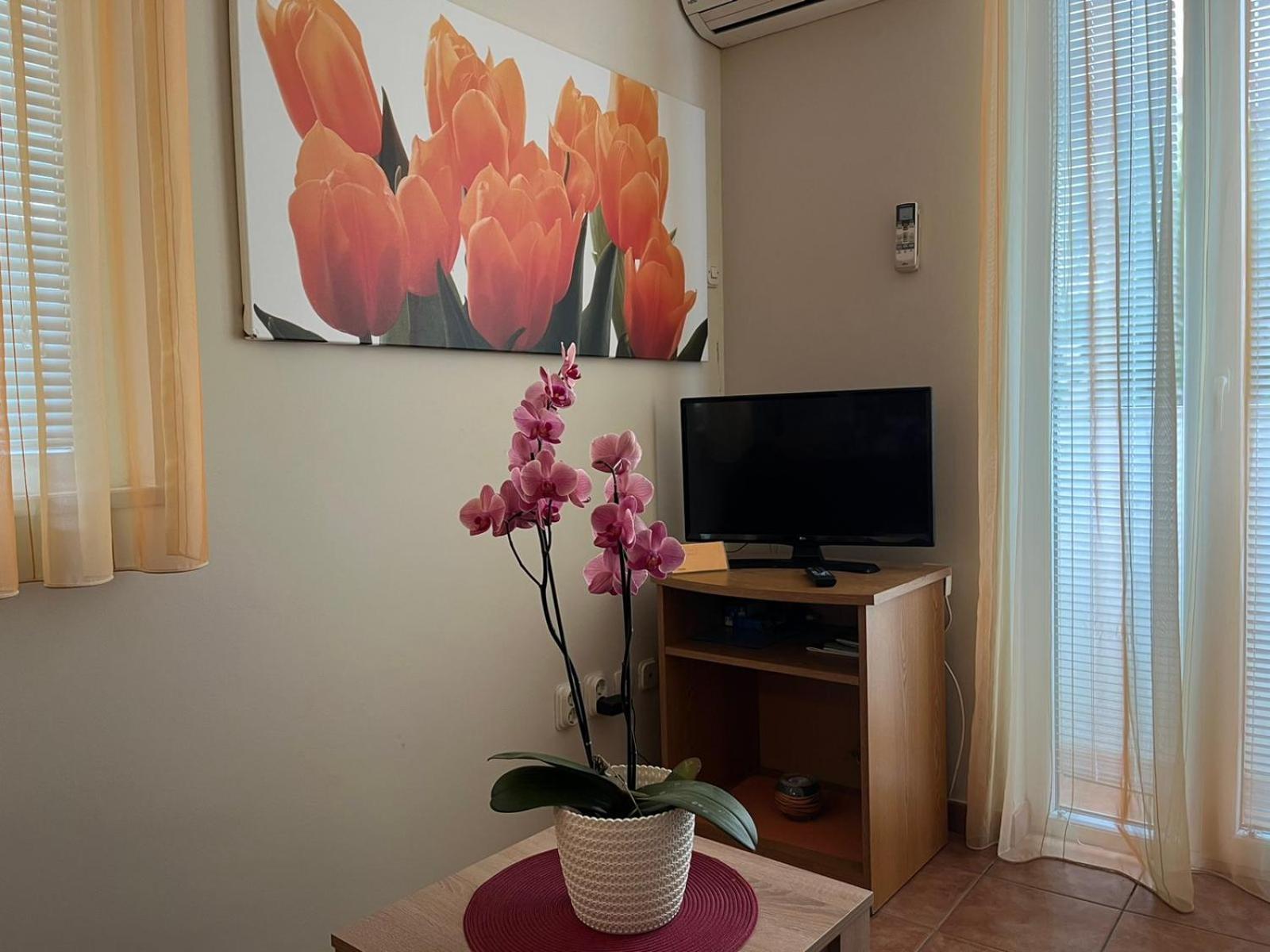 Family Apartments Suzi Rovinj Exteriér fotografie